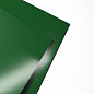 Лист оцинкованный с полимерным покрытием полиэстер 0,8х1250мм RAL 6002 Лиственно-зелёный